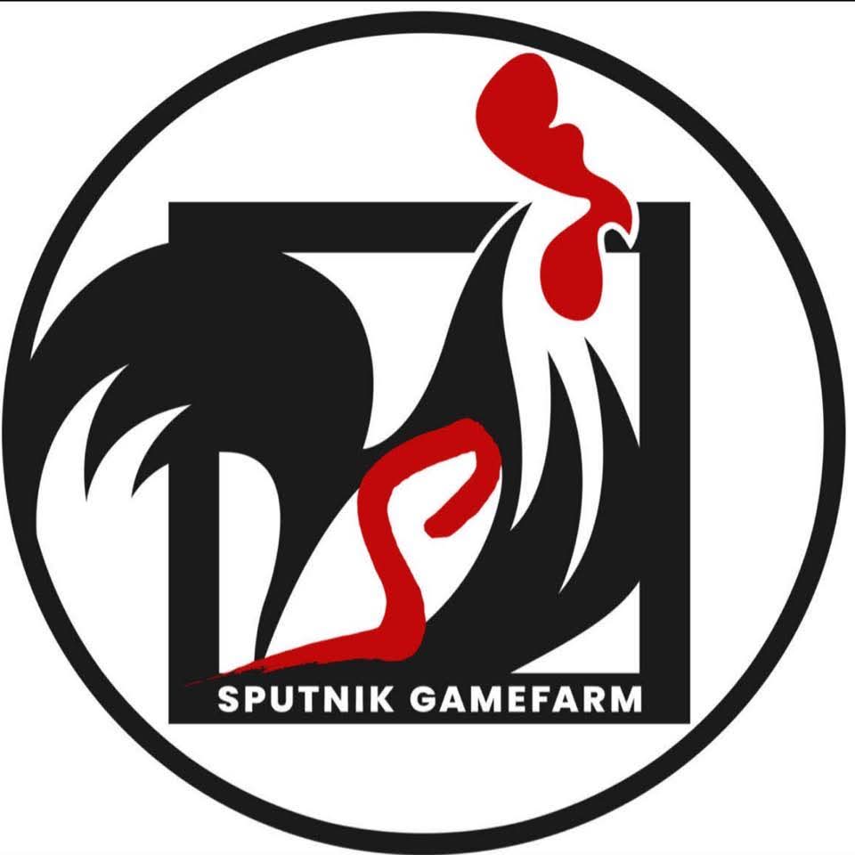 Sputnik